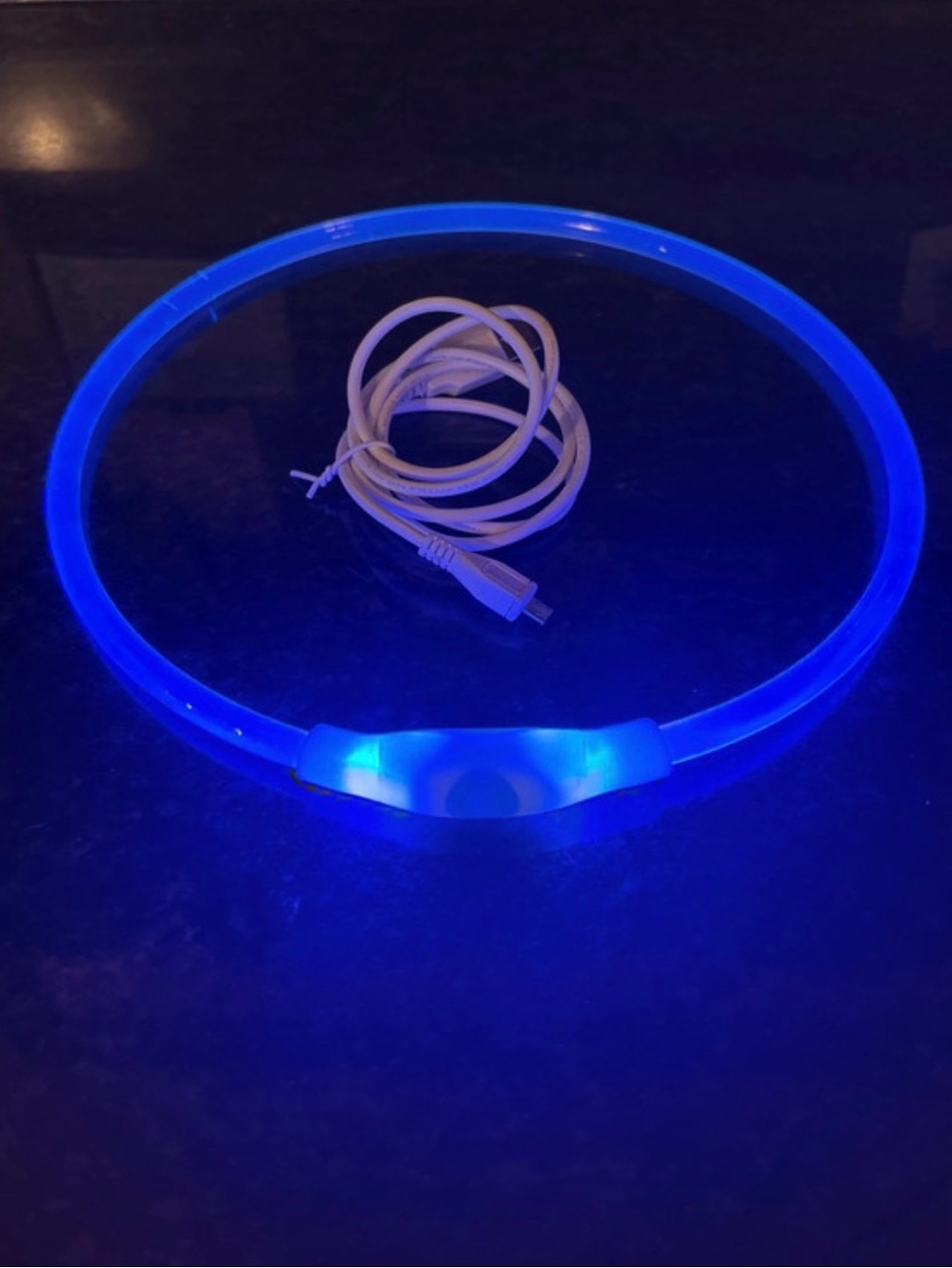 BRIGHT BLUE LED LIGHT-UP TUBE
NECKLACE